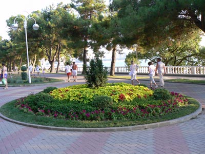 Работа садовника удалась!