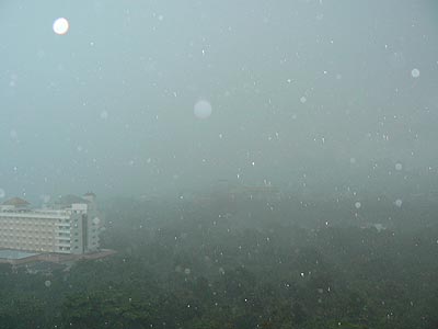 Вид из окна: дождь