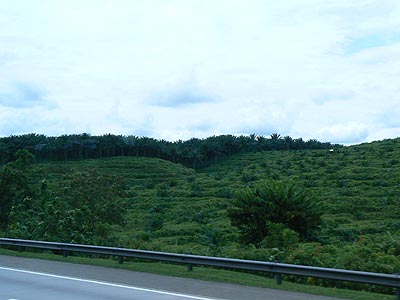 Малайзия, столица – Куала-Лумпур. Население – 23,09 млн. человек на 2003 год. Плотность населения: 65 человек на 1 кв. км. 