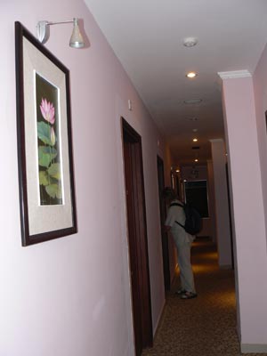 City Centre Hotel. Заселяемся в номер.