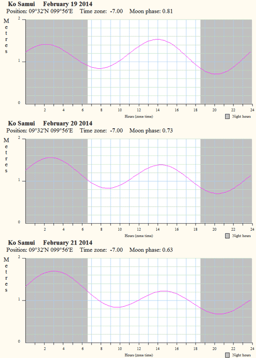  .       2014  19  21 .<br>
       - ,  .    1,6 .